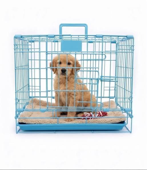 Dog Cages